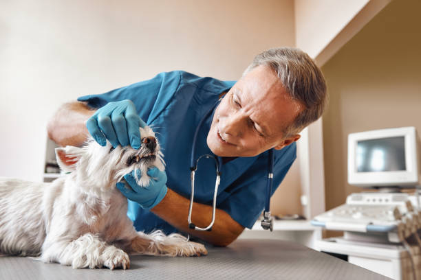 Best Weekend Emergency Dentist in Ellsworth, KS